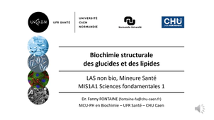 Biochimie structurale des glucides et lipides - F FONTAINE - CM du 01/10/25 - Partie 1