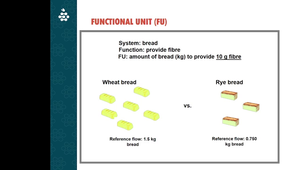 Life Cycle Analysis Plant production