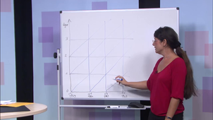 Démographie : le diagramme de Lexis - Exemple 1