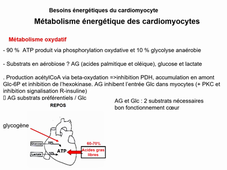 metabolisme energetique cardiaque allouche 2020 sonorise.mp4