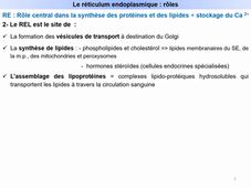 Système endomembranaire - Cours n°1 - II.1. Le réticulum endoplasmique - M. Villedieu - 06.02.26.mp4