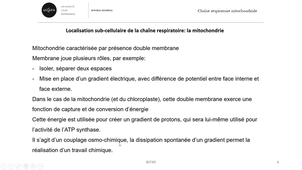 Cours chaîne respiratoire mitochondriale