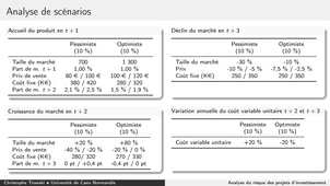 Analyse du risque des projets d'investissement 5