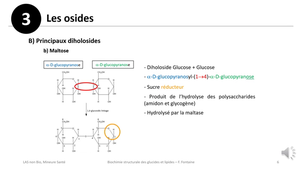 Biochimie structurale des glucides et lipides - F FONTAINE - CM du 01/10/25 - Partie 3