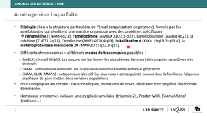 Génétique cours 3 : anomalies dentaires d'origine génétique