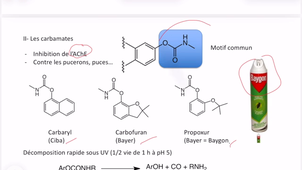 cours 3-insecticides