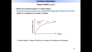 Cours d'enzymologie - L.AS Bio - Diapos 16 à 31