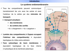 Système endomembranaire - Cours n°1 - I. Généralités - M. Villedieu - 06.02.26.mp4
