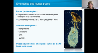 Enregistrement Puces, biologie et controle Partie 1- Mme SERVONNET