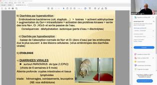 Enregistrement Diarrhee du chien et du chat - Mr J.P LEMONNIER