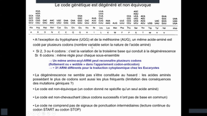 Support_Vidéo_Biologie_Moleculaire_Traduction_Denoyelle_Partie_1_29_01_2026