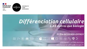 2026-03-27_MIS2A5_CelluleTissus_DifferenciationCellulaire_LASAutres.mp4