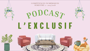 Podcast L'EXCLUSIF - Compétences numériques.mp4