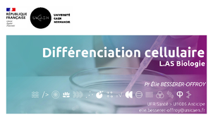 2026-01-21_MIS2B5_CelluleTissus_DifferenciationCellulaire_LASBio
