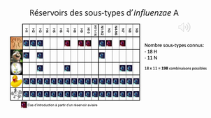 Biodiversite et Virus_2026_FINAL_Partie2.mp4