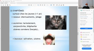 Enregistrement Fievre et maladies infectieuses + Corticotherapie - Mr J.P LEMONNIER