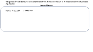 Introduction à la neurotransmission