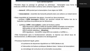 Support_Vidéo_Biologie_Moléculaire_Transcription_Denoyelle_Partie_1_09.01.2026