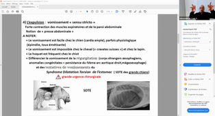 Enregistrement Vomissements chez les carnivores - Mr J.P LEMONNIER