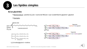 Biochimie structurale des glucides et lipides - F FONTAINE - CM du 01/10/25 - Partie 5