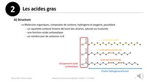Biochimie structurale des glucides et lipides - F FONTAINE - CM du 01/10/25 - Partie 4