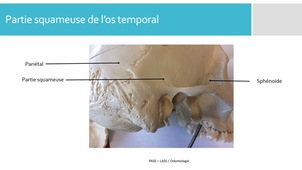 H - Temporal