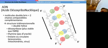 CM Biologie Moléculaire H. MITTRE du 20/01