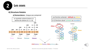 Biochimie structurale des glucides et lipides - F FONTAINE - CM du 01/10/25 - Partie 2
