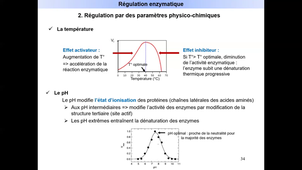 Cours d'enzymologie - Diapos 32 à 39 - Mineure Santé L.AS Bio