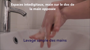 Hygiène des mains - Dr C. Ambroise
