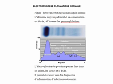 Toutes LAS biophysique partie 1 D. AGOSTINI 2025-2026