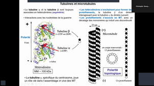 Support_Video_Biologie_Cellulaire_Denoyelle_Cytosquelette_Partie_1_27_02_2026