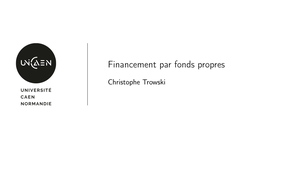 Financement par fonds propres 1