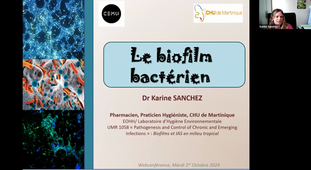 Les biofilms - Karine Sanchez - Visioconférence du 01.10.2024 (Master MAS)