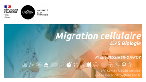 2026-01-21_MIS2B5_CelluleTissus_MigrationCellulaire_LASBio