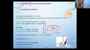 CM BIOPHYSIQUE P. SCHUMANN BARD du 24/08