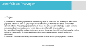 H - Le nerf Glosso-pharyngien