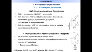 Cours d'enzymologie - L.AS Bio - Diapos 49 à 60