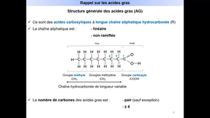 Métabolisme des acides gras - Diaporama sonorisé - Diapos 1 à 7 - Introduction - Mineure Santé Toutes L.AS