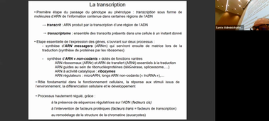 CM Biologie Moléculaire C. DENOYELLE du 20/01