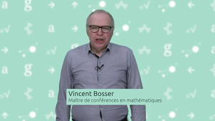 Disciplinaire Présentation Vincent Bosser